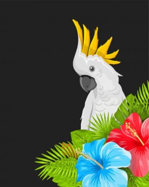 Red Tailed Black Cockatoo Paint By Number