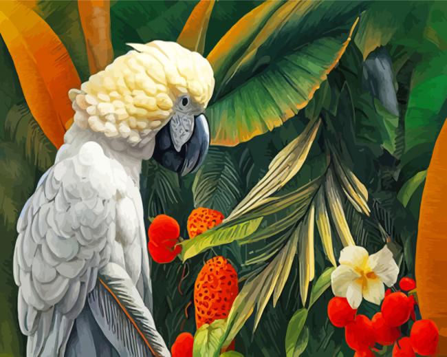 Umbrella Cockatoo Paint By Number