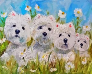 Westie Dogs Paint By Number