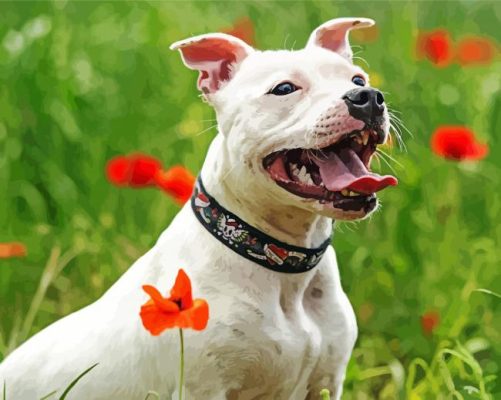 White Staffy Paint By Number