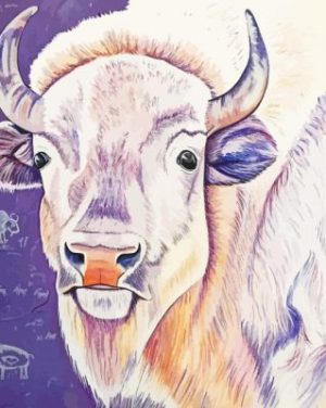 White bison paint by numbers