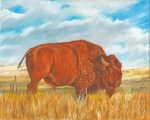 Wild American Bison Paint By Numbers