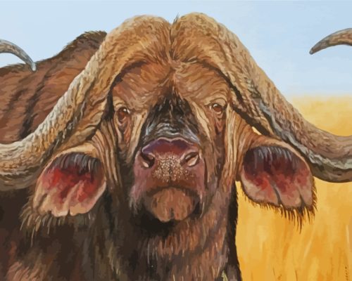 Wild Buffalo Paint By Number