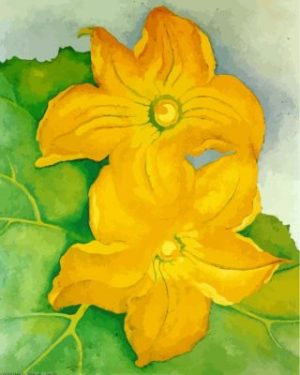 O Keeffe Squash Flowers I Paint By Numbers