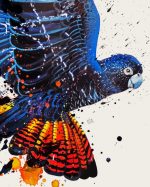 Abstract Red Tailed Black Cockatoo Paint By Number