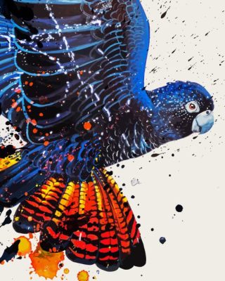 Abstract Red Tailed Black Cockatoo Paint By Number
