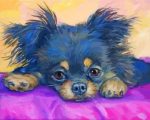 Adorable Black Chihuahua Paint By Number