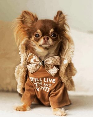 Adorable Chihuahua Paint By Number