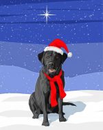 Aesthetic Black Labrador Paint By Number