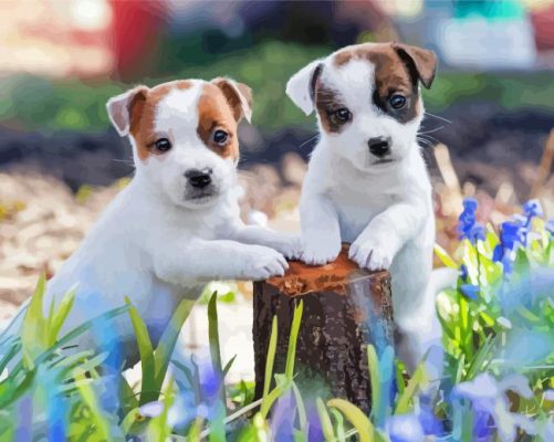 Jack Terrier Puppies Paint By Number