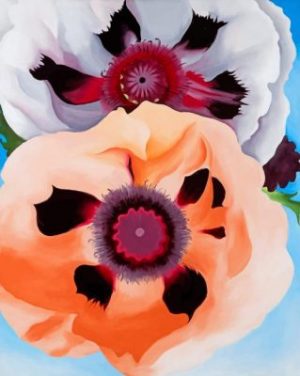 Poppies Art Geoorgia Okeeffe Paint By Numbers