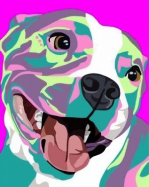 Illustration Pitbull paint by numbers kit