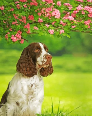 Aesthetic Springer Spaniel Paint By Number