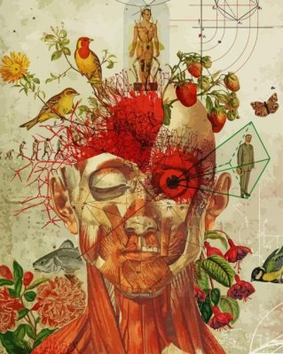 Anatomy Art Paint By Numbers