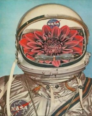 Astronaut And Flowers Paint By Numbers