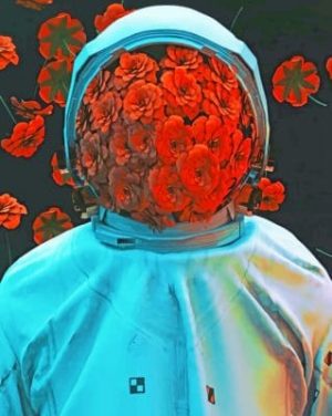 Red Floral Astronaut Paint By Numbers