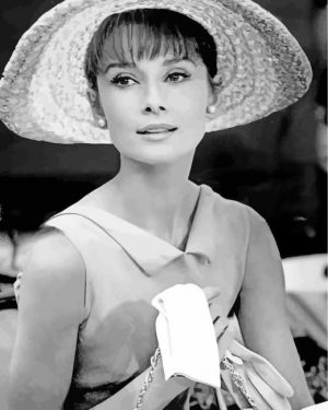 Audrey Hepburn Black And White Paint By Number