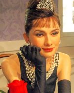 Audrey Hepburn Paint By Number