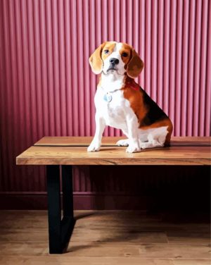 Beagle Dog On The Table Paint By Number