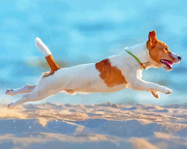 Bichon Jack Russell Puppy Paint By Number