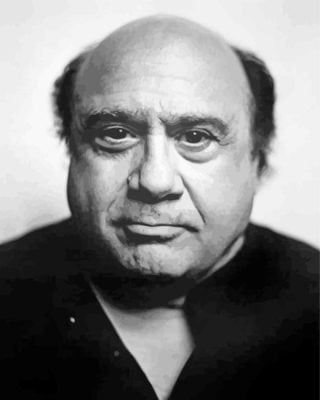 Black And White Danny Devito Paint By Numbers