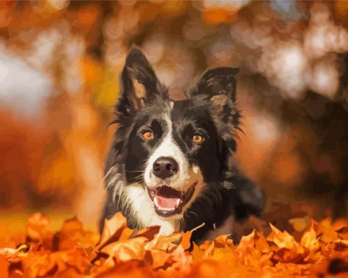 Black Border Collie In Leaves Paint By Number