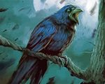 Black Raven bird Paint By Numbers