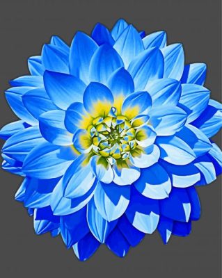 Blue Dahlia Art Paint By Number