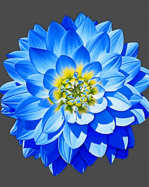 Blue Dahlia Art Paint By Number