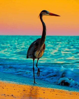 Blue Heron At Sunset Paint By Number