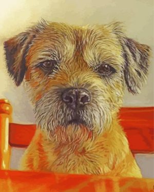 Border Terrier Dog Paint By Numbers