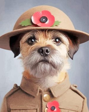 Border Terrier Soldier Paint By Number