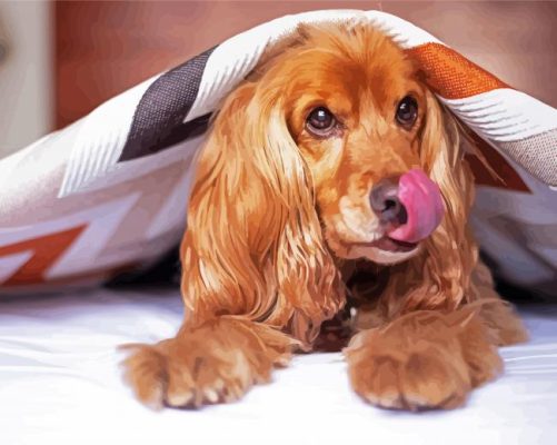 Cocker Spaniel Under Blanket Paint By Numbers
