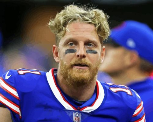 Cole Beasley Paint By Number