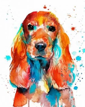 Colorful English Cocker Spaniel Paint By Numbers