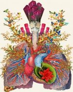 Colorful Anatomy Art Paint By Numbers