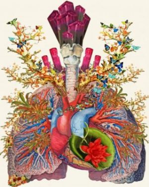 Colorful Anatomy Art Paint By Numbers