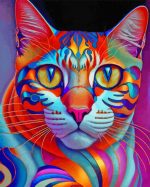 Colorful Cat Art Paint By Number