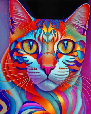 Colorful Cat Art Paint By Number