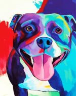Colorful Pitbull Dog paint by numbers
