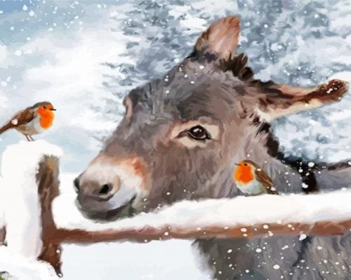 Cool Donkey And Robins Paint By Number