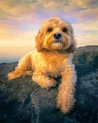 Cute Cockapoo Puppy Paint By Number