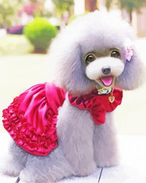 Cute Poodle Paint By Number