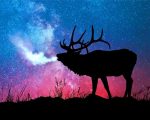 North American Elk Silhouette Paint By Number