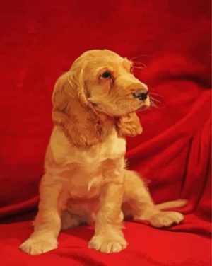 Cocker Spaniel Puppy Paint By Numbers