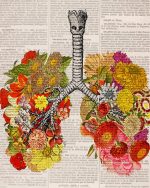 Floral Anatomical Lungs Paint By Numbers