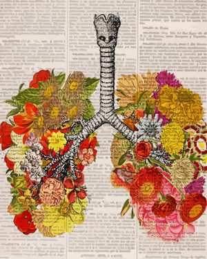Floral Anatomical Lungs Paint By Numbers