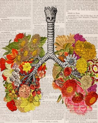 Floral Anatomical Lungs Paint By Numbers