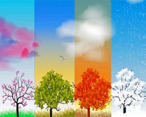 Four Seasons Paint By Numbers