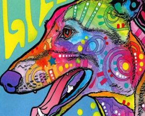 Greyhound Dog Paint By Number
